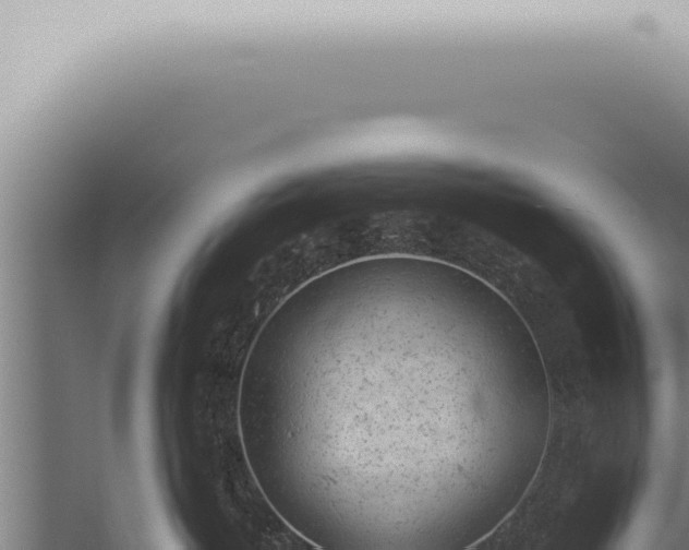 X0000059830382200510281804