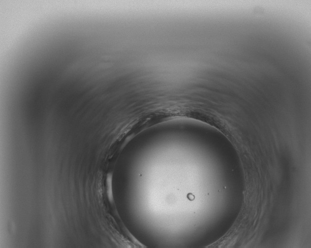 X0000059830384200510281804