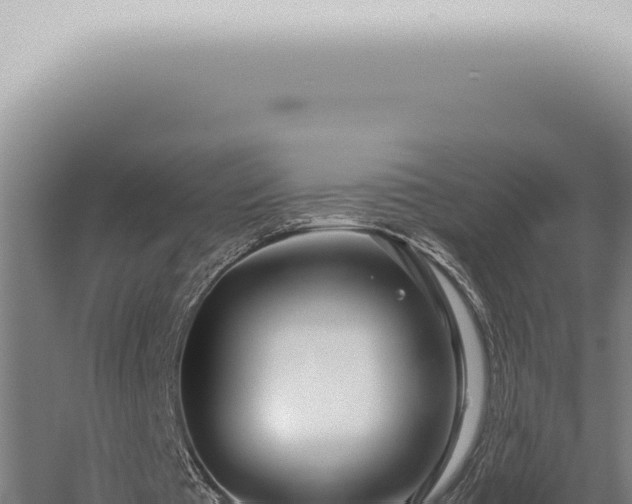 X0000059830385200510281803