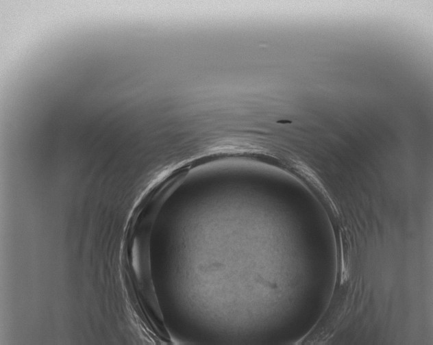 X0000059830387200510281803