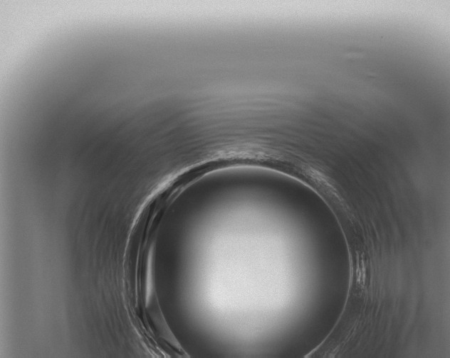 X0000059830388200510281803