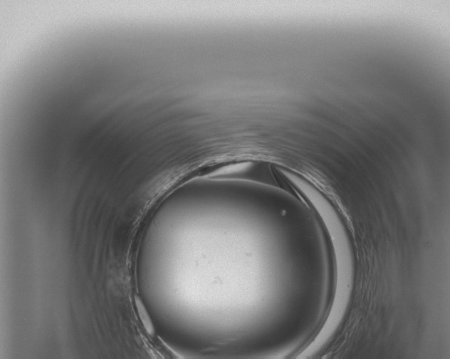 X0000059830389200510281803