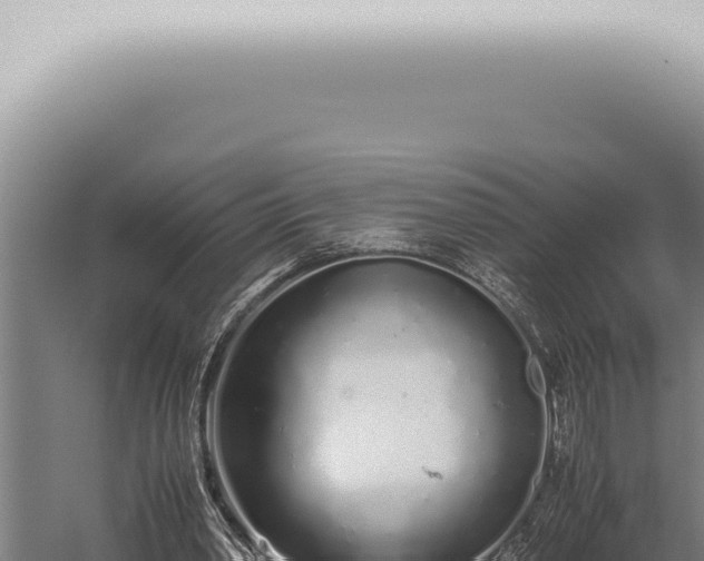 X0000059830390200510281803