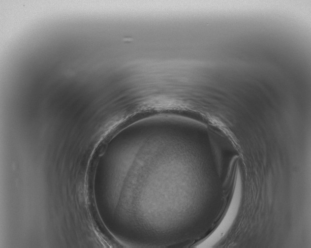 X0000059830391200510281803