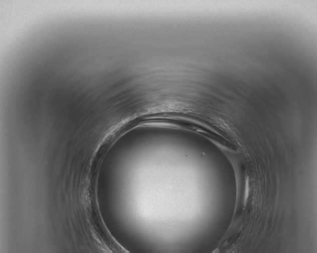 X0000059830392200510281803