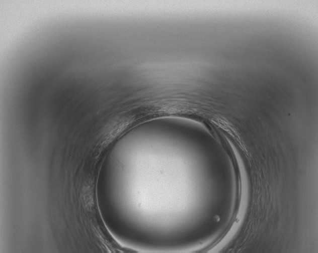 X0000059830393200510281803