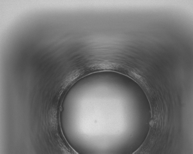 X0000059830394200510281803