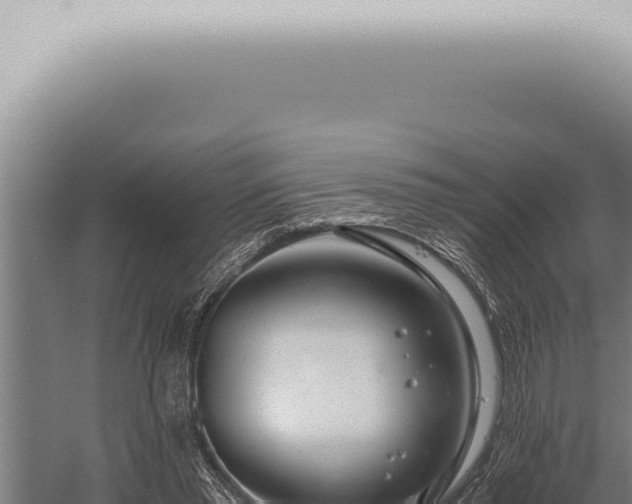 X0000059830397200510281803