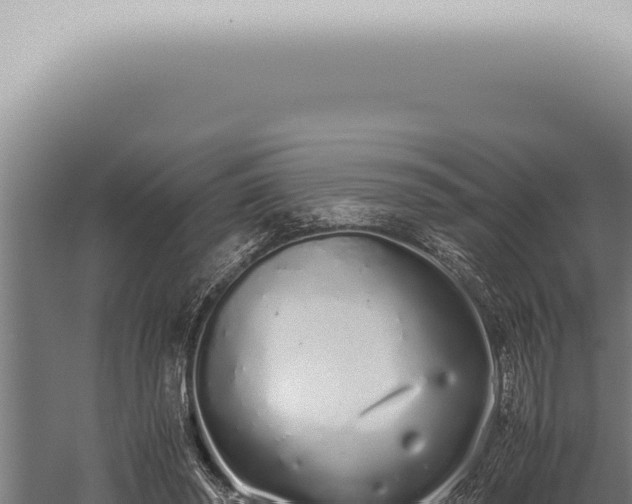 X0000059830398200510281803