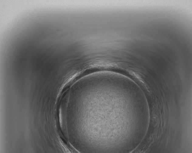 X0000059830399200510281803