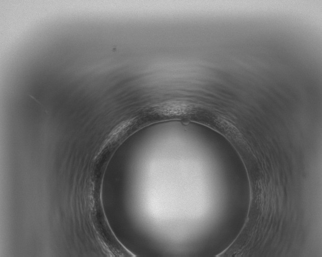 X0000059830400200510281803