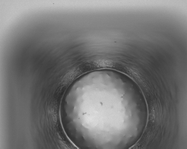 X0000059830402200510281803