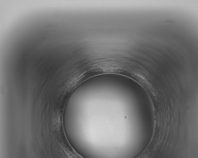 X0000059830405200510281803