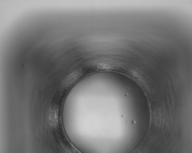 X0000059830406200510281803