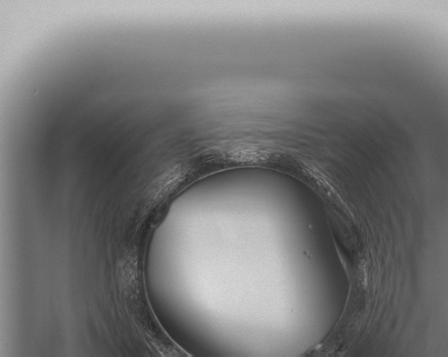 X0000059830407200510281803