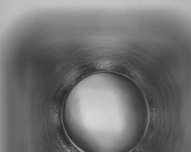 X0000059830408200510281803