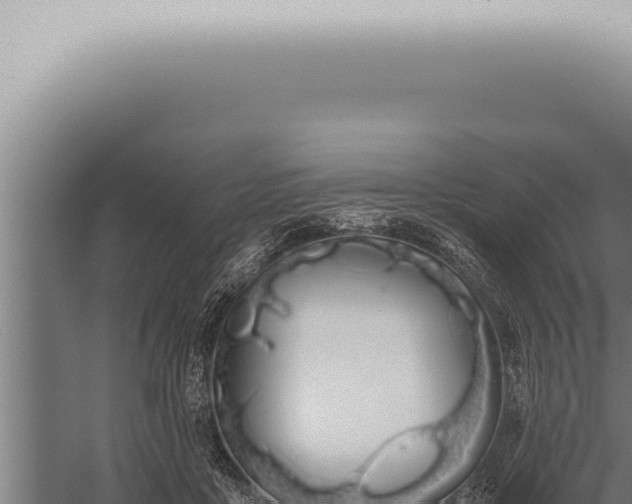 X0000059830411200510281803