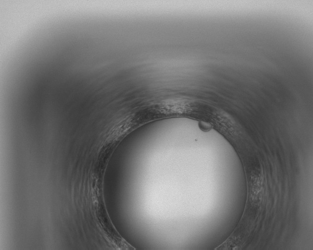 X0000059830414200510281803