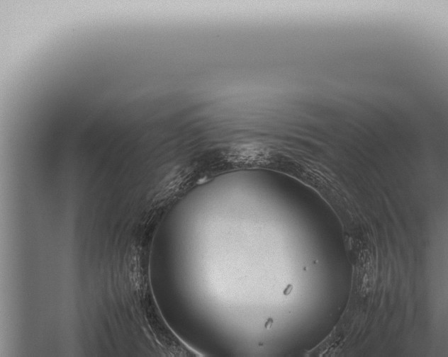 X0000059830416200510281803