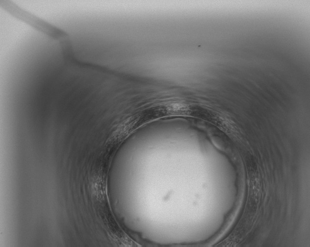 X0000059830419200510281803