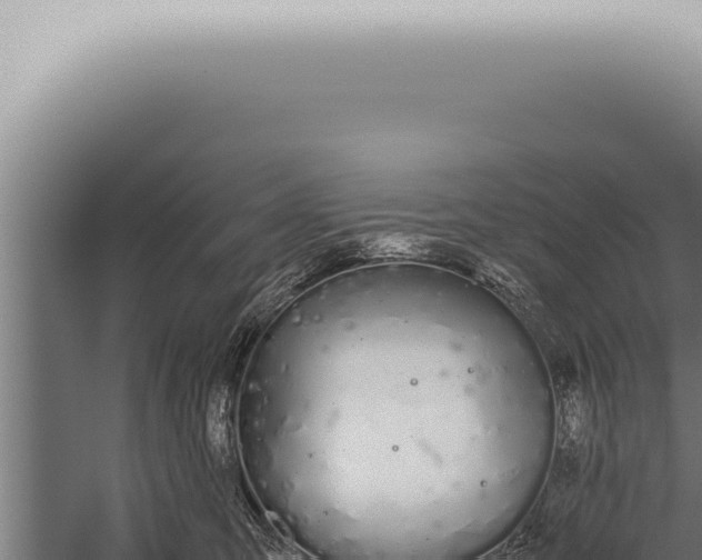 X0000059830423200510281803