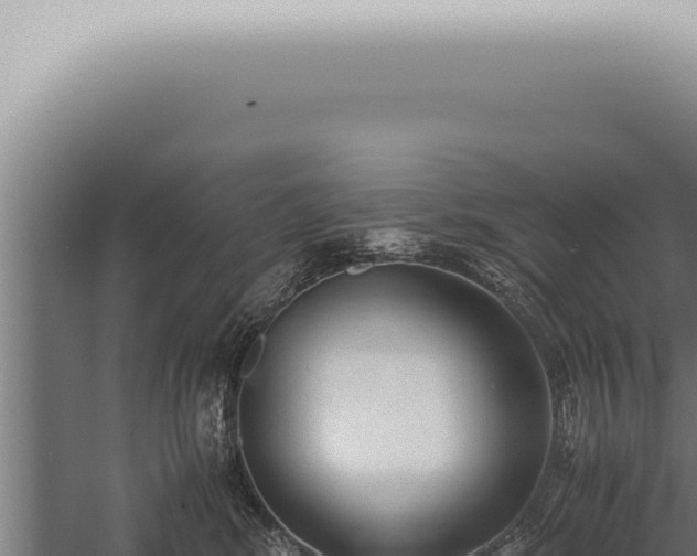 X0000059830424200510281803