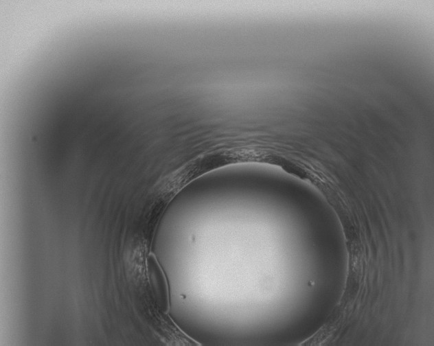 X0000059830425200510281803