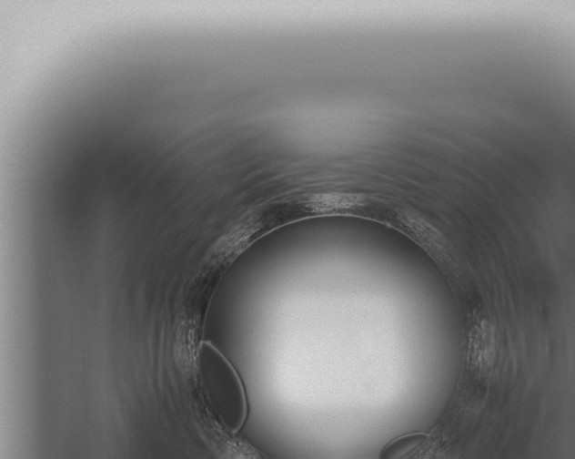 X0000059830426200510281802