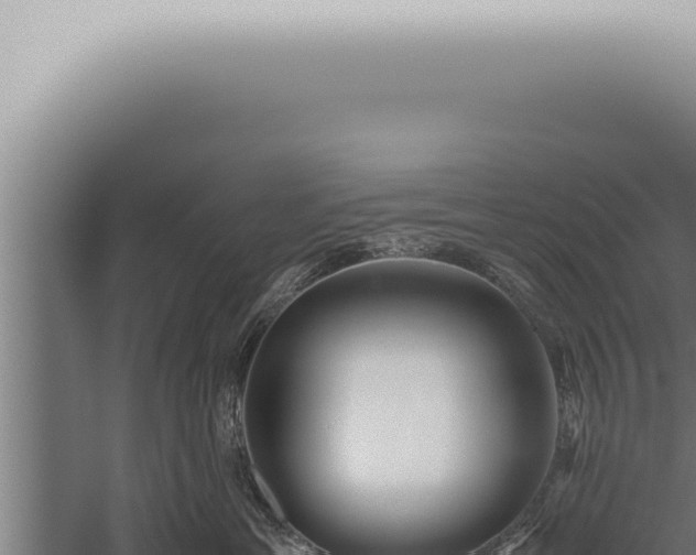 X0000059830429200510281802