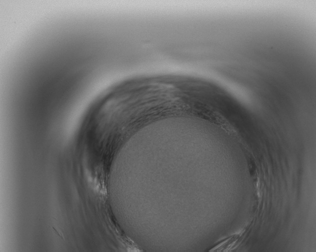 X0000059830431200510281802