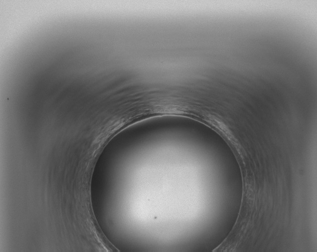 X0000059830433200510281802