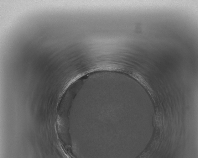 X0000059830434200510281802