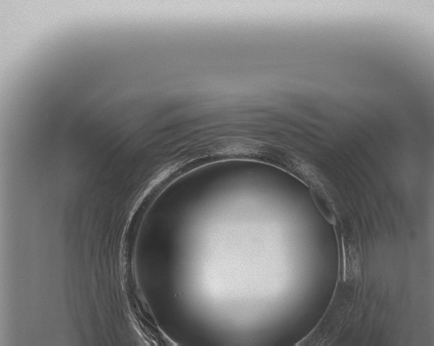 X0000059830435200510281802