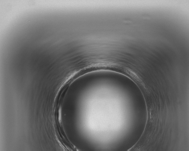 X0000059830436200510281802