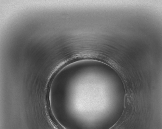 X0000059830438200510281802