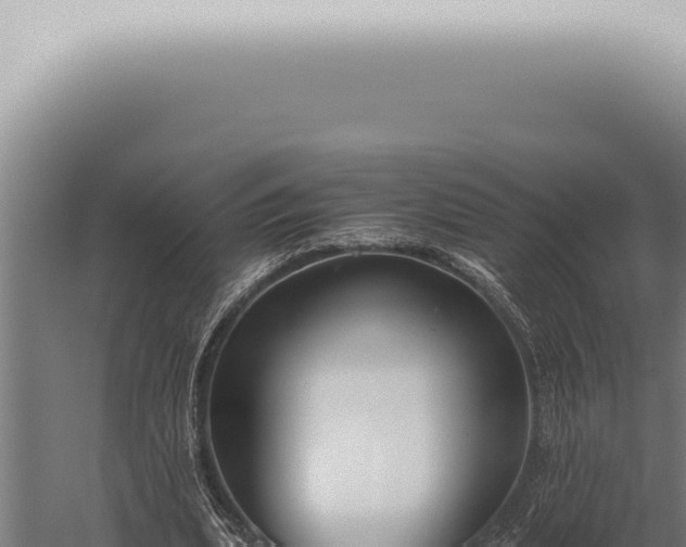 X0000059830439200510281802