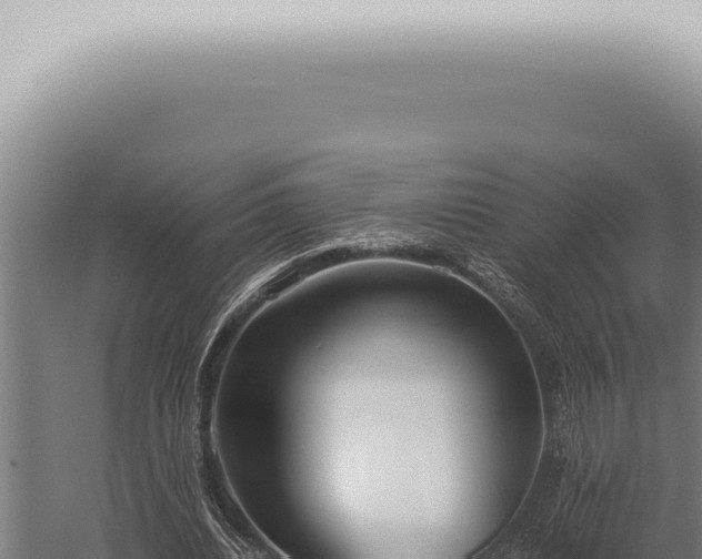 X0000059830440200510281802