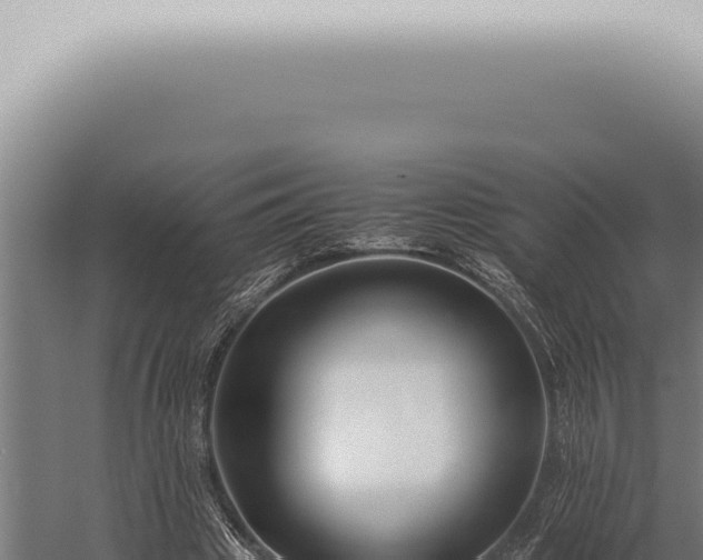 X0000059830441200510281802