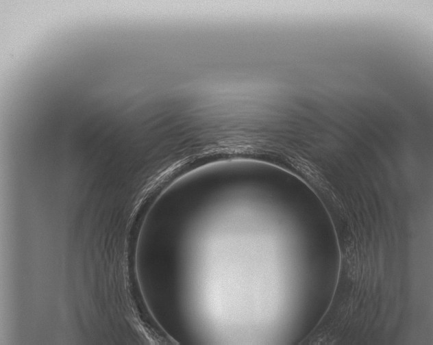 X0000059830442200510281802