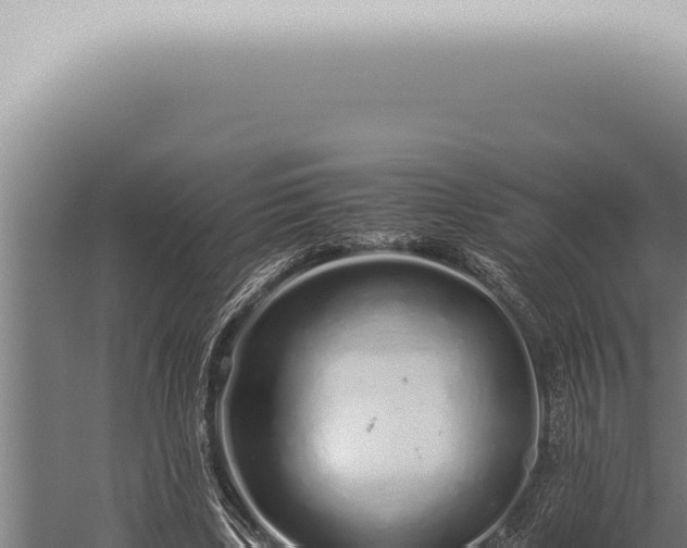 X0000059830443200510281802