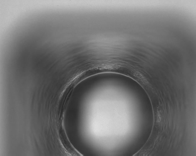 X0000059830444200510281802