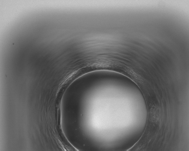 X0000059830446200510281802