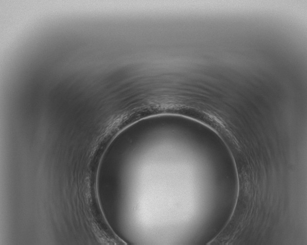 X0000059830447200510281802