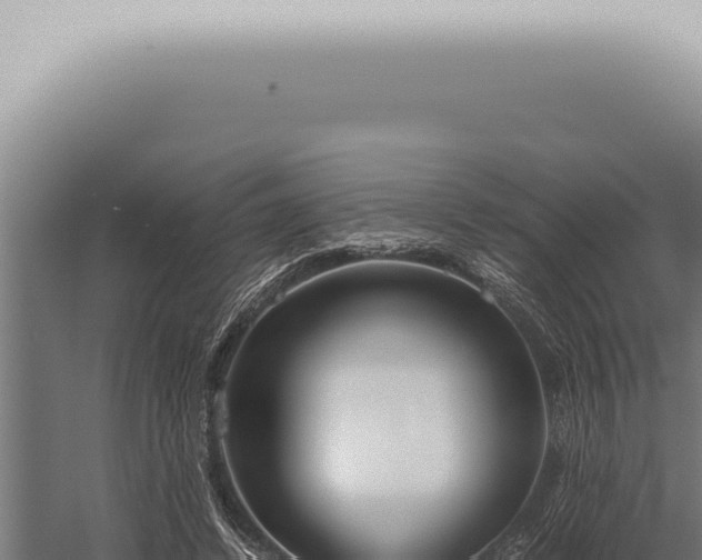 X0000059830448200510281802