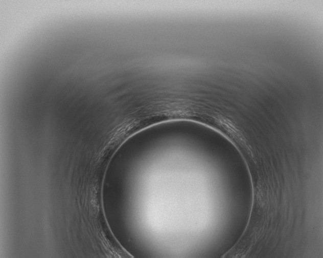 X0000059830449200510281802