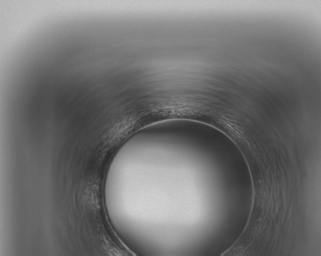 X0000059830450200510281802