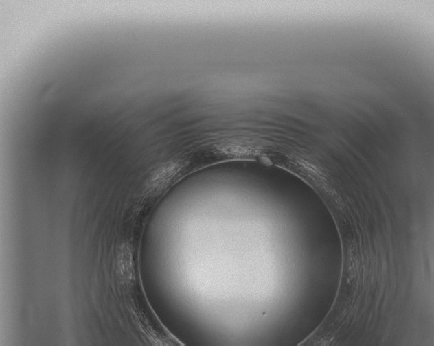 X0000059830453200510281802