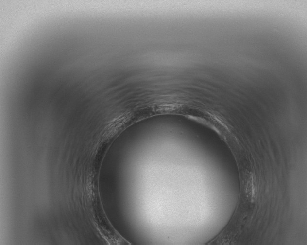 X0000059830455200510281802