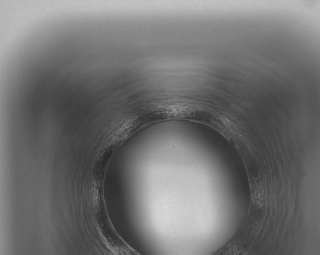 X0000059830456200510281802