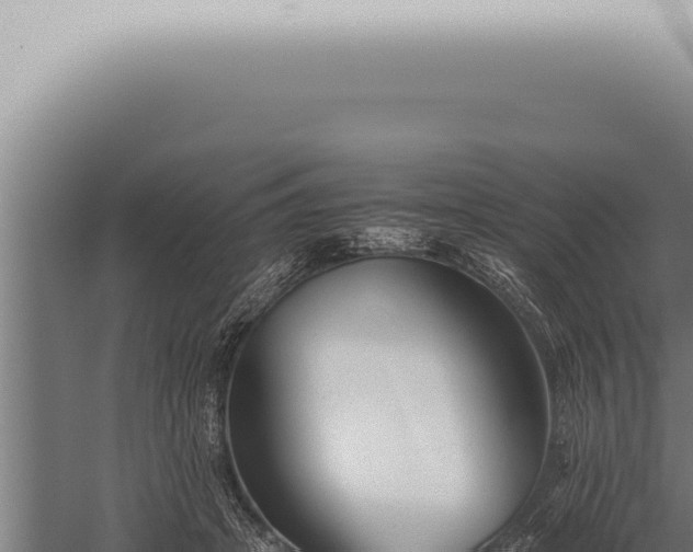 X0000059830457200510281802